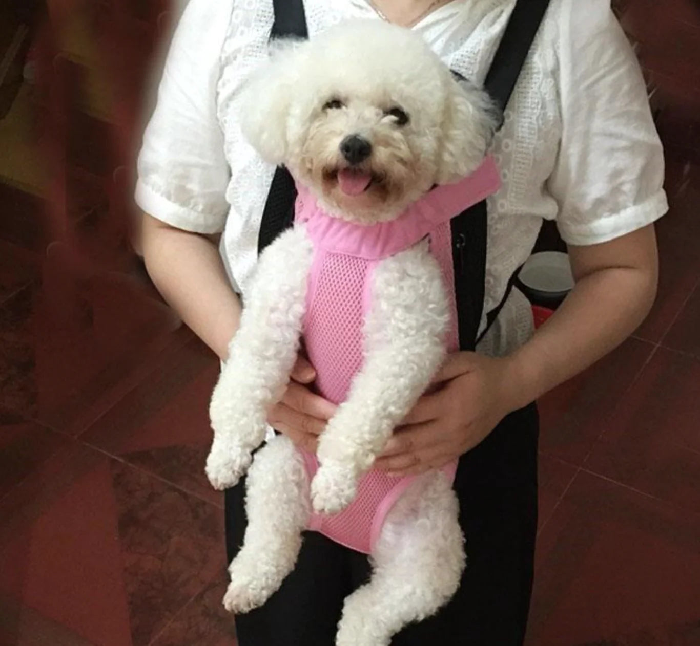Pet Carrier Outdoor Strap Harness